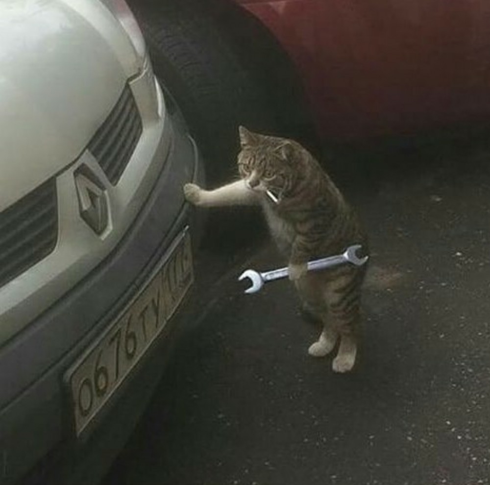 Mechanic cat meme